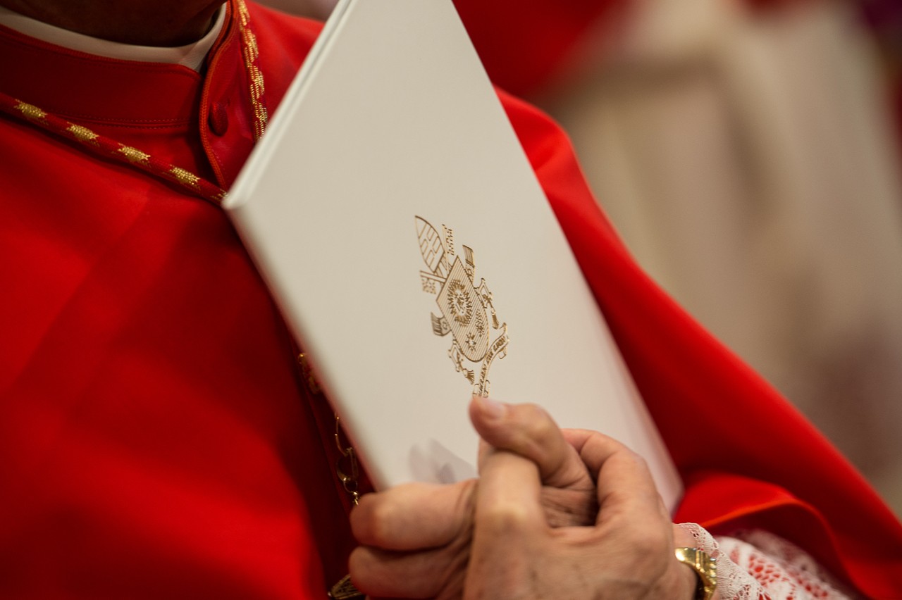 “Spes non confundit”: Papa Francisco convoca el Jubileo de la Esperanza ...